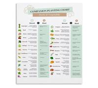ZGPOSQKZSC Gardening Guide Poster Seed Starting Schedule and Companion Planting Chart for Vegetables Educational Kitchen Wall-Art 8 X 12 in