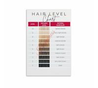 ZGPOSQKZSC Hair Color Lift Level 1 10 Tone Matching Poster | Eliminates guesswork when formulating custom shades for different starting levels(Unframed,08x12inch(20x30cm))