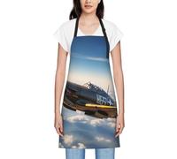 ZHANLEI Grembiule con stampa aeroplano della seconda guerra mondiale, grembiule impermeabile per donne e uomini, con tasche, design elegante, ideale per cucinare, artigianato e molto altro ancora