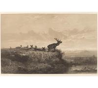ZHAOSHAN Dipinti Famosi Poster D'epoca Parete Immagine del Muro Ciervos matutinos y ciervas de Karl Bodmer per L'arredamento del Soggiorno 60x90cm
