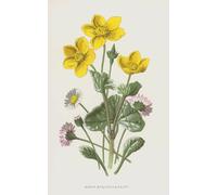 ZHAOSHAN Dipinti Famosi Poster D'epoca Parete Immagine del Muro Marsh Marigold y Daisy de Frederick Edward Hulme per la Decorazione Domestica dell'ufficio 60x90cm