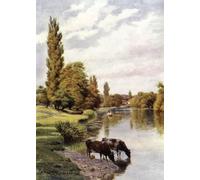 ZHAOSHAN Dipinti Famosi Poster D'epoca Parete Immagine del Muro Shiplake de Alfred Robert Quinton per L'arredamento del Soggiorno 60x90cm