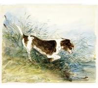 ZHAOSHAN Dipinti Famosi Poster D'epoca Parete Immagine del Muro un perro mirando una rata en el agua Dedham pintado por John Constable per la Decorazione Domestica dell'ufficio 60x90cm
