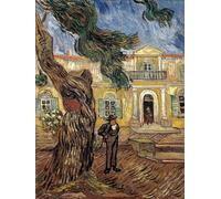 ZHAOSHAN Famoso Quadri Murale Stampe Olio El Hospital de San Pablo en Saint Remy De Provence Óleo sobre lienzo de Vincent Van Gogh per la Decorazione Domestica dell'ufficio 60x90cm