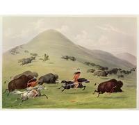 ZHAOSHAN Famoso Quadri Murale Stampe Olio La caza de animales de George Catlin per la Decorazione Domestica dell'ufficio 60x90cm