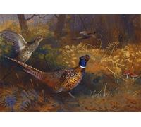 ZHAOSHAN Famoso Quadri Murale Stampe Olio un faisány gallina en el borde de un bosque por Archibald Thorburn per la Decorazione Domestica dell'ufficio 60x90cm