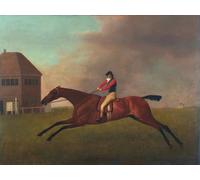ZHAOSHAN Famoso Stampa Artistica Poster Stampa Baronet con Sam Chifney Up de George Stubbs per L'arredamento del Soggiorno 60x90cm