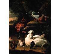 ZHAOSHAN Famoso Stampa Artistica Poster Stampa una gallina con pollitos palomas en un paisaje de Melchior De Hondecoeter per la Decorazione Domestica dell'ufficio 60x90cm