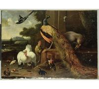ZHAOSHAN Famoso Tela graffiti Artistiche Tela Revuelta en el Golpe Avícola de Melchior De Hondecoeter per L'arredamento del Soggiorno 60x90cm