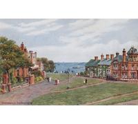 ZHAOSHAN Famoso Tela graffiti Artistiche Tela Southwold South Green por Alfred Robert Quinton per L'arredamento del Soggiorno 60x90cm