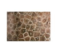 ZhaoYuGoods Petoskey Stone - Puzzle da 1000 pezzi per adulti, puzzle orizzontali impegnativi in legno di alta qualità, con foto di riferimento per rilassamento mentale e decorazione della casa, 50 cm