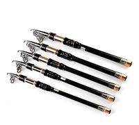 ZHCHAO Canna da pesca con punte solide Casting Canna da pesca portatile in fibra di carbonio 1,8 m telescopica canna da mare (dimensioni: A_3,0 m)