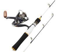 ZHCHAO Canna da pesca sul ghiaccio da 58 cm con ruota rotante Combinazione canna da pesca invernale set canna da barca (dimensioni: argento)