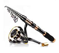 ZHCHAO - Canna da pesca telescopica in carbonio con mulinello, set combinato con lenza, kit per bambini, uomini, donne (dimensioni: 3,6 m 359,9 cm 3,6 m)