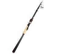 ZHCHAO canna da pesca telescopica in carbonio portatile a nodo corto MH manico dritto canna da mare (dimensioni: B_3.0M)