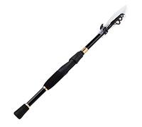 ZHCHAO Canne da pesca telescopiche da 1,8-2,4 m per filatura con peso, canna da pesca in carbonio, accessori per la pesca Caña De Pescar (taglia: D)
