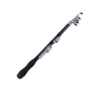 ZHCHAO - Mini canna da pesca telescopica in acciaio al carbonio super duro, per fiumi e laghi, portatile, dimensioni: A, 1,2 m