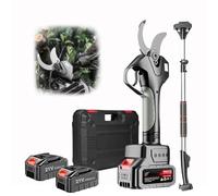 zhenmaster Cesoie Elettriche Professionali 21V - Lama SK5 Ultra Affilata, Asta Estensibile e Motore Brushless - Taglio Preciso per Frutteti, Vigneti e Giardini Ornamentali(Withpole)