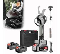 zhenmaster Potatore Telescopico Elettrico 21V con Lama SK5 - Cesoie Senza Fili con Motore Brushless e Kit Completo - Taglio Preciso per Alberi, Piante e Siepi Alte(Withpole)
