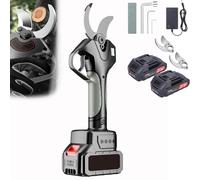 zhenmaster Tagliarami Elettrico a Batteria con Lama SK5 - Cesoie da Potatura Professionali 21V con Asta Telescopica e Motore Brushless - Ideale per Taglio di Alberi e Arbusti(Withoutpole)