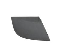 ZHINUAN Rivestimento laterale del parabrezza anteriore, adatto for Mercedes-Benz Classe B W245 2005-2011 Pannello deflettore acqua coperchio del bordo laterale del tergicristallo de(1 PCS Right R)