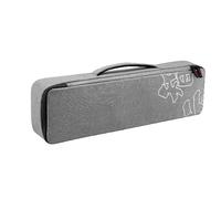 ZHIYUN CINEPEER CF100 - Custodia per luce video