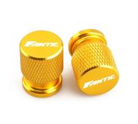 ZHky 2 Pezzi Tappo valvola Pneumatico Moto Compatibile con Fantic Caballero Flat Track 125 250 500 Scrambler 500 Range XE125/XEF250 450/XE