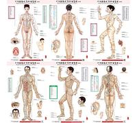 ZHONGJIUYUAN Grafico a 6 stlye per digitopressione femmina/maschile, mappa dei punti e dei meridiani, 88,9 x 58,4 cm