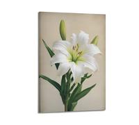 ZHOUKEG Decorazione artistica da parete con giglio bianco su sfondo solido, poster decorativo da appendere, 50 x 75 cm