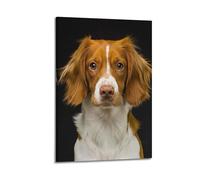 ZHOUKEG Poster artistico da parete con cane a pelo lungo, marrone e bianco, decorazione moderna da appendere, 40 x 60 cm