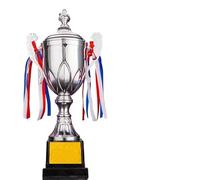 ZHSOAO Gold Silver Bronze Awards Trophy Sports Games Metal Model Small Prize Cup Champion Soccer Competition Winner Award per Competizioni Sportive(Silver with Lid)