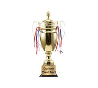 ZHSOAO Large Trophy Cup for Sports,Tournaments,Competitions,Soccer Football League Match,Other Teamwork Award per Competizioni Sportive(Gold)