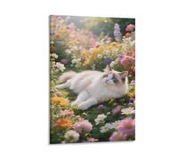 ZHUICHENG Ragdoll Poster/Gattino carino Decorazione Murale-Quadro Su Tela 3D Per Cucina&Camera. Dipinto Con Colori Vivi&Superficie Anti-Graffio,Manutenzione Semplice 20x30inch(50x75cm)