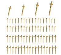 ZHYUAN 100 pezzi Bulloni Espansione, M6*40, M6*50, M6*60, M6*70, Chiodo Cemento Knock-in, Tasselli per pareti cave, Tasselli per soffitto, per il fissaggio in calcestruzzo fessurato e non fessurato