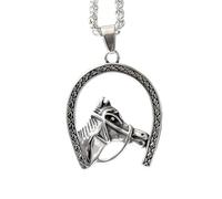 ZIAFRPN Collana da Uomo, 2025 Collana Club Testa di Cavallo Ferro di Cavallo Zoccolo Pendente Gioielli di Moda Regalo, Regalo Personalizzato