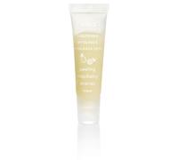 ZIAJA SCRUB LABBRA ANANAS / ANGURIA / MIRABELLE / MANGO