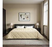 Ziaphsol Coperta estiva in microfibra e pile Teddy, 200 x 240 cm, trapuntata su entrambi i lati, per camera da letto, camera degli ospiti, con imbottitura in fibra traspirante