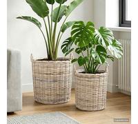 Ziaphsol Kubu - Set di 2 cestini in rattan intrecciato, con manici a D, rotondi, per piante, per interni ed esterni, colore: grigio naturale