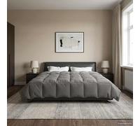 Ziaphsol Trapunta estiva in microfibra imbottita grigio chiaro, 220 x 260 cm, trapunta per camera da letto, camera degli ospiti, traspirante per le calde notti estive