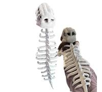 Zibeem Costume di Scheletro di Dinosauro - Copricapo Teschio di Dinosauro e Costume Dorsale per Cosplay Halloween Adulti,per Ruoli a Raduni Spettacoli Eventi a Tema e Feste di Halloween