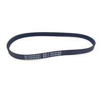 ZIBOXI 5EPJ556 W10006384 Cinghia for lavatrice Whirlpool, Kenmore, Maytag PS11747978, AP6014712, WPW10006384