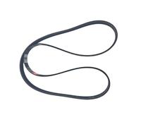 ZIBOXI Cinghia di trasmissione for lavatrice/asciugatrice W10260319 adatta for Maytag, Whirlpool, Kenmore 6EPJ1303, 6 EPJ 1303 WPW10260319 AP6018084 PS11751386