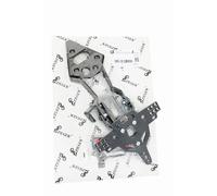 Zieger Portatarga Con Luce Pro Type C Ch/pl/irl Triumph Street Triple