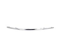Zier-/Protezione Listello Paraurti Anteriore Destro Per Mercedes-Benz E-Class