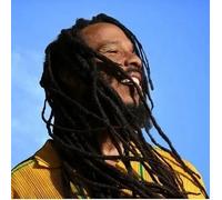 Ziggy Marley - Brightside
