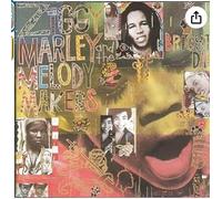 Ziggy Marley - One Bright Day