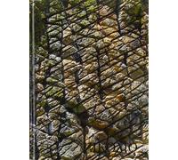 Zikomo. 1977-2018 41 anni di gioia non terminata in Malawi