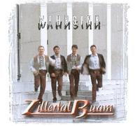 Zillertal Buam,die - Wahnsinn