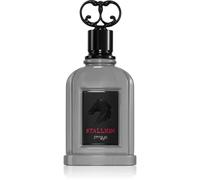 Zimaya Stallion Eau de Parfum per uomo 100 ml
