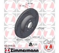 ZIMMERMANN 150.2919.55 Disco freno per BMW